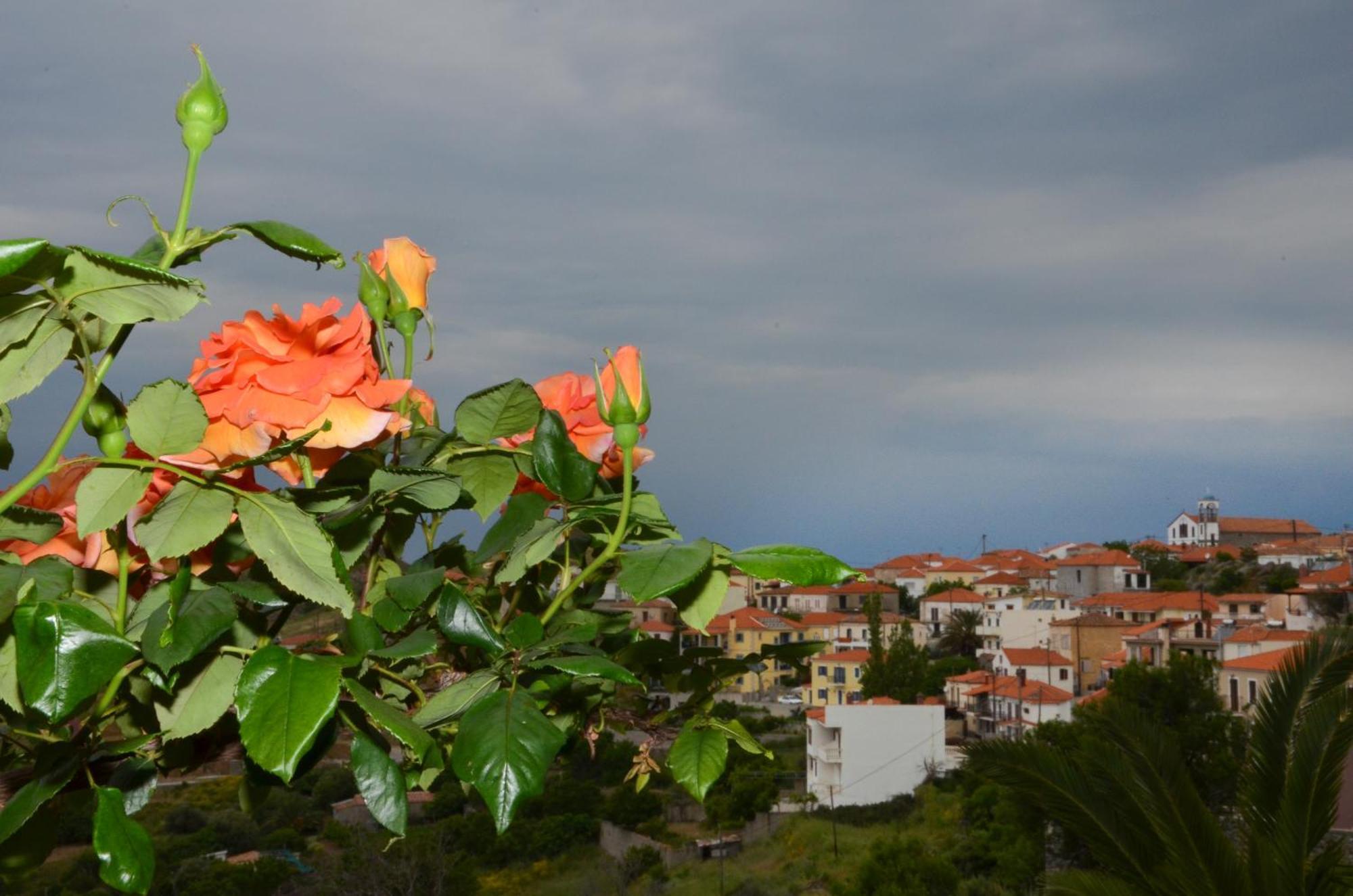 Hotel Dina - Ξενοδοχείο Ντινα Plati  Zewnętrze zdjęcie
