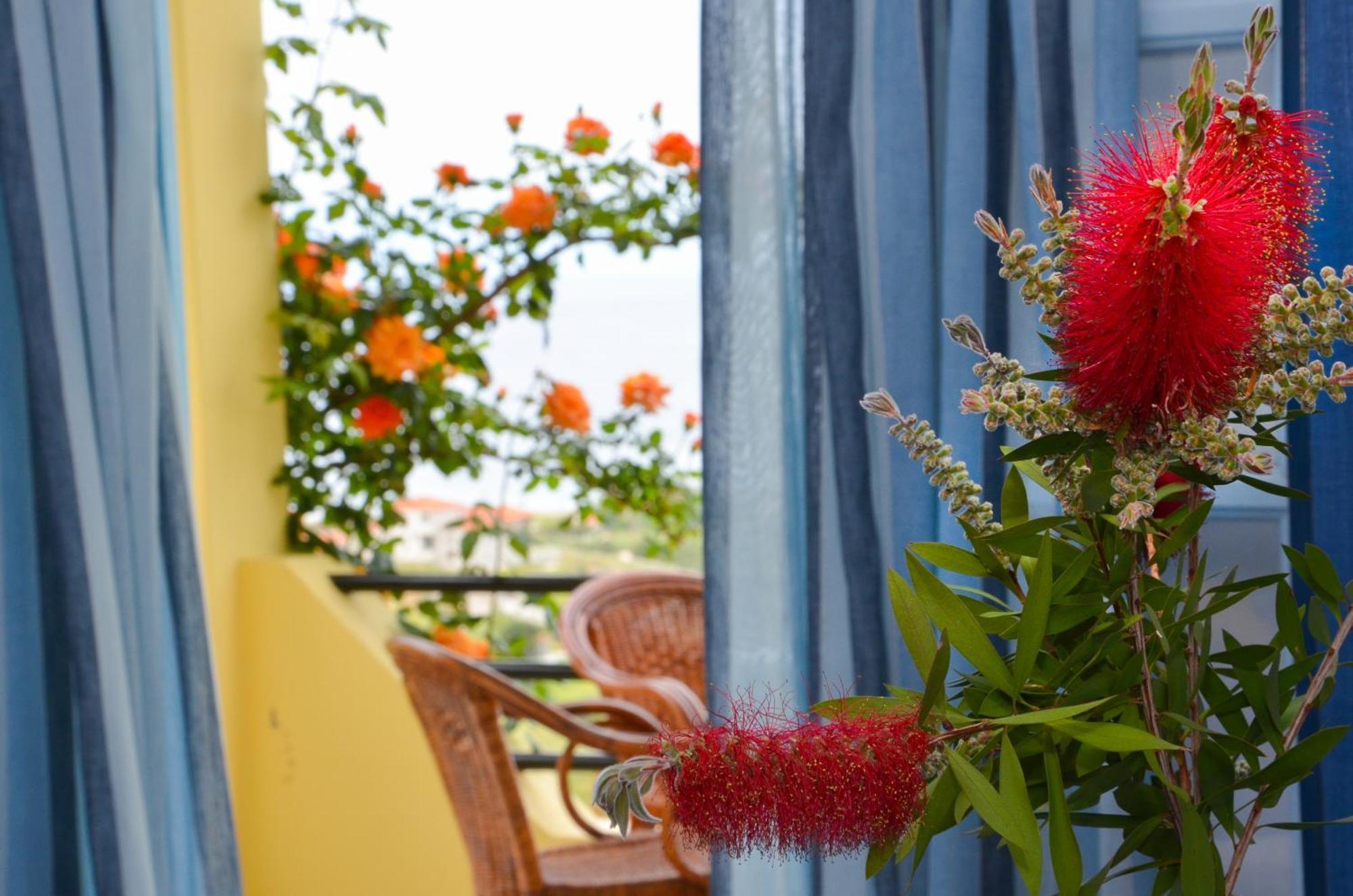 Hotel Dina - Ξενοδοχείο Ντινα Plati  Zewnętrze zdjęcie